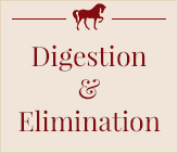 Digestion, limination, drainage