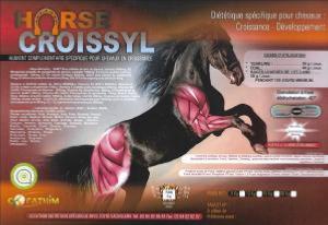 HORSE CROISSYL